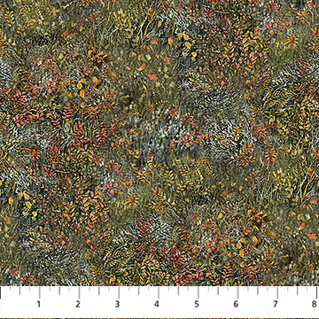 DP28579-76