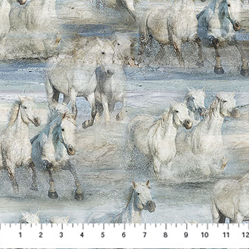 DP28589-42