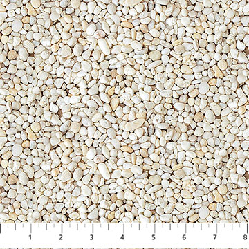 DP28591-11