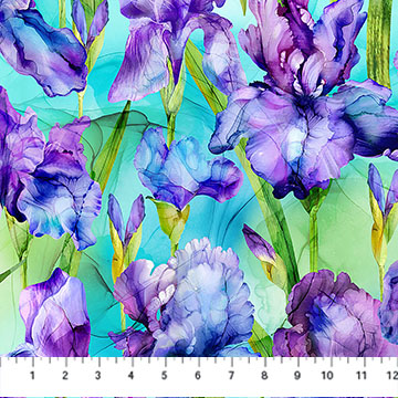 DP28613-64
