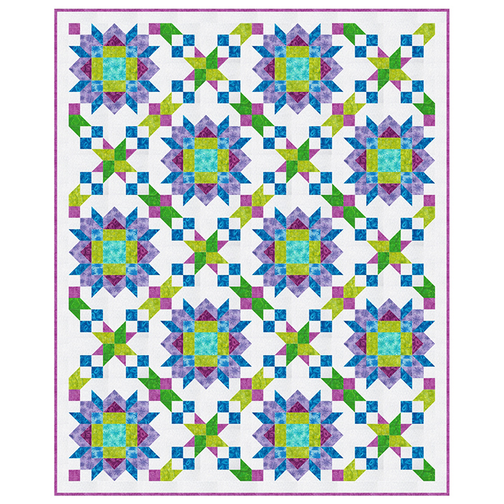 PTNB0556